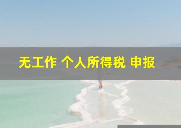 无工作 个人所得税 申报